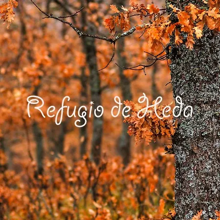 Holiday home Refugio De Heda San Bartolome de Tormes