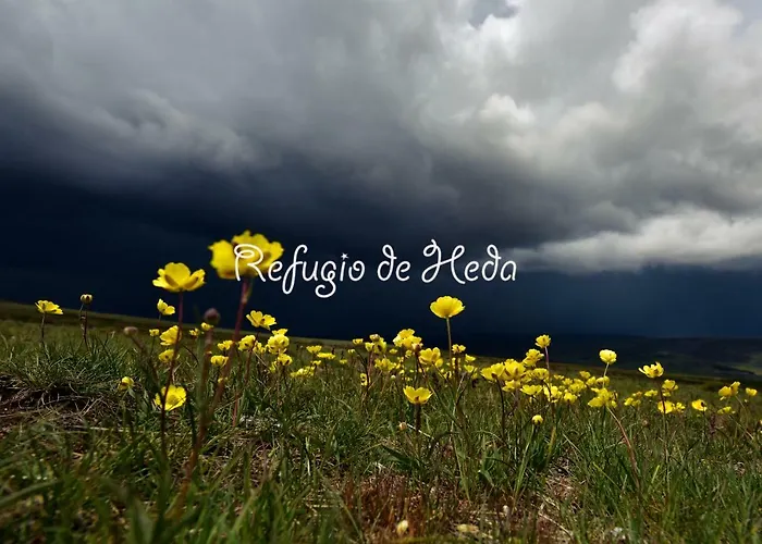 Дом отдыха Refugio De Heda